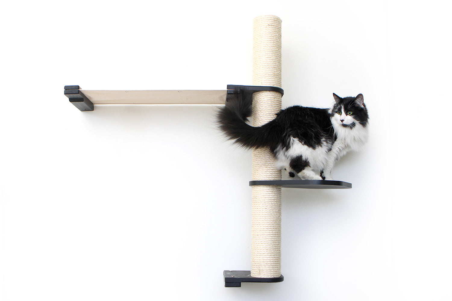 The Crow's Nest - A Wall Cat Scratcher with Hammock
