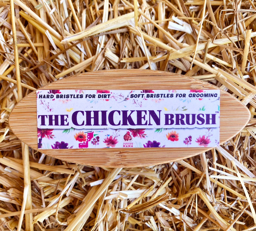 The Chicken Brush: Great For Cleaning Feathers & Distributing Oils by Dahlia Pets