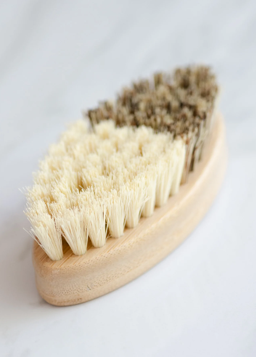 The Chicken Brush: Great For Cleaning Feathers & Distributing Oils by Dahlia Pets