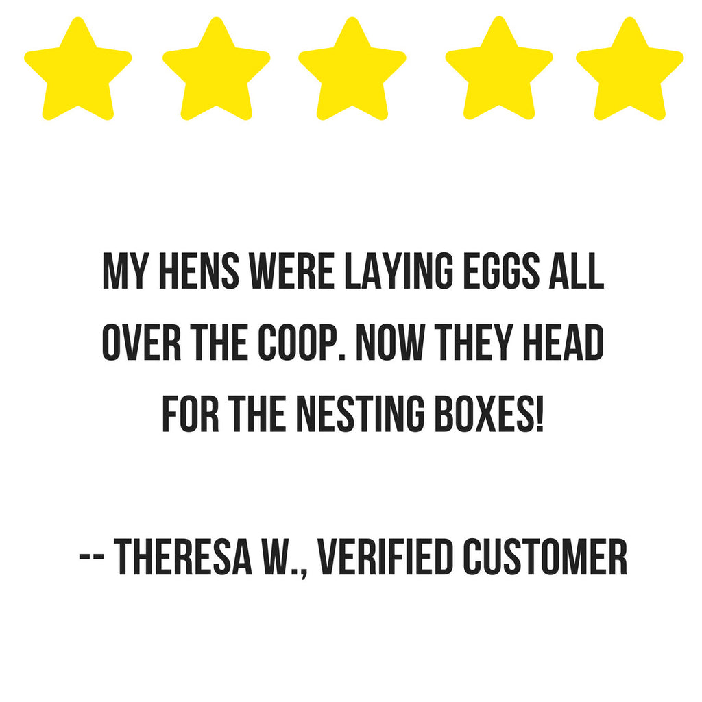 Scent of Spring Nesting Herbs For Backyard Chickens With Lavender, Chamomile, Calendula, and more! by Dahlia Pets