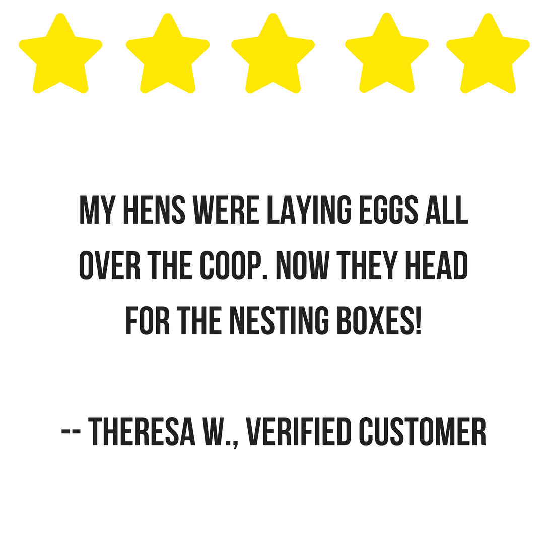 Scent of Spring Nesting Herbs For Backyard Chickens With Lavender, Chamomile, Calendula, and more! by Dahlia Pets