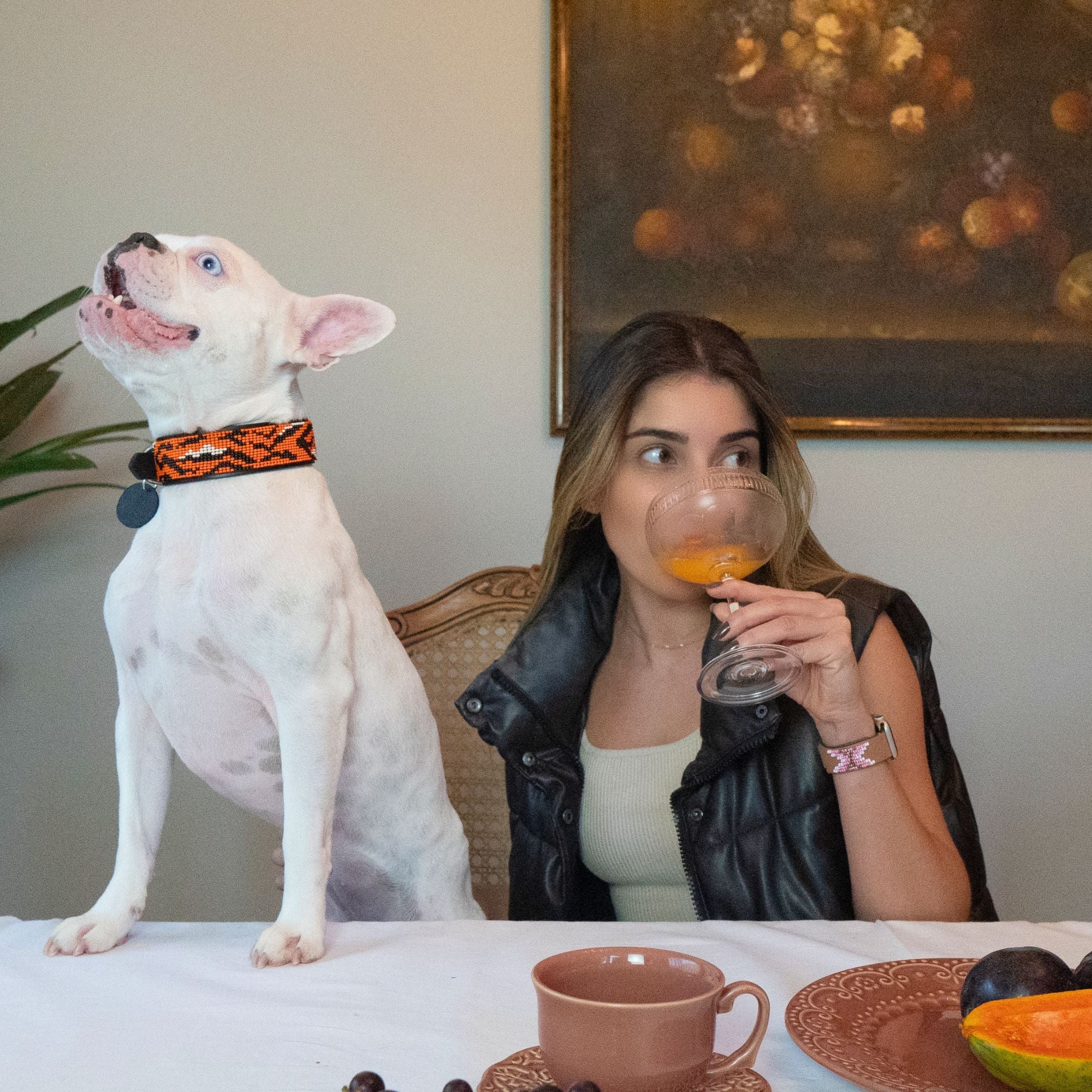 Tiger Sambboho dog collar (animal print collection) by Sambboho