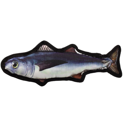 12" Tropical Trout Dog Fish Toy by Dogline