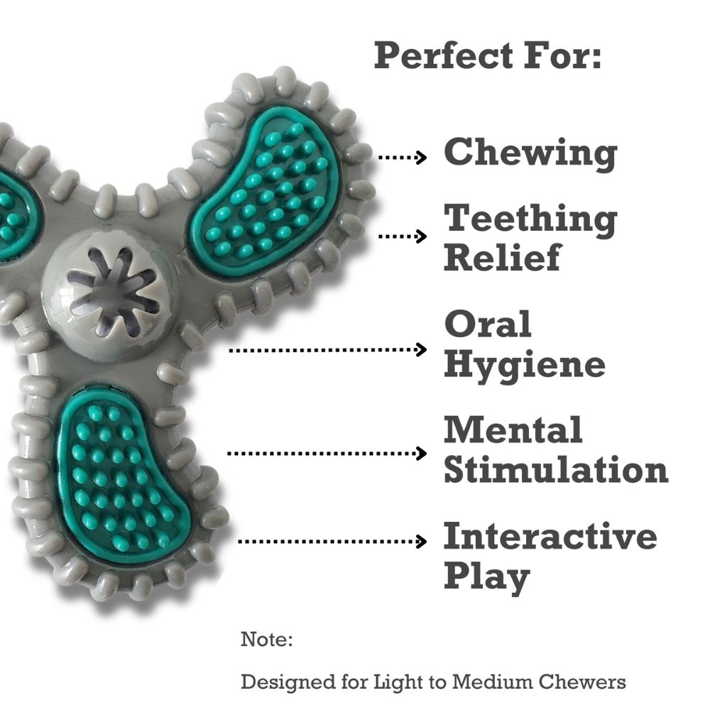TPR Dental Spinner Dog Chew Toy – Durable Dental Care Fun for Light to Medium Chewers by American Pet Supplies