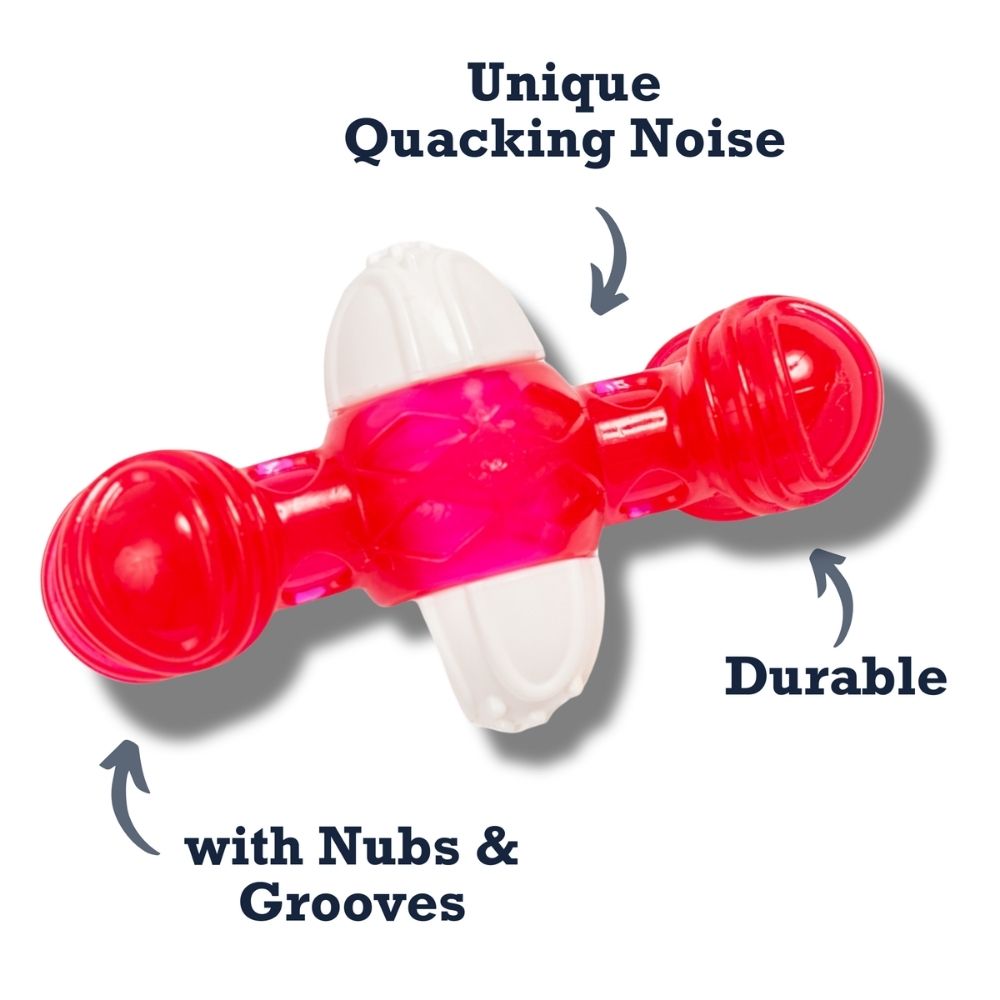 Country Living TPR & Nylon Quacker Bone Chew Toy for Dogs – with Engaging Quacking Sound by American Pet Supplies