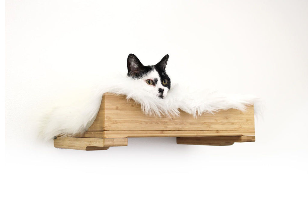 The Cat Nest Bed by Catastrophic Creations
