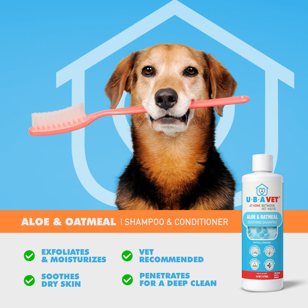 UBAVET Aloe & Oatmeal Shampoo for Dogs & Cats – Gentle, Moisturizing Cleanser for Sensitive Skin (16.9 fl oz / 500ml) by American Pet Supplies