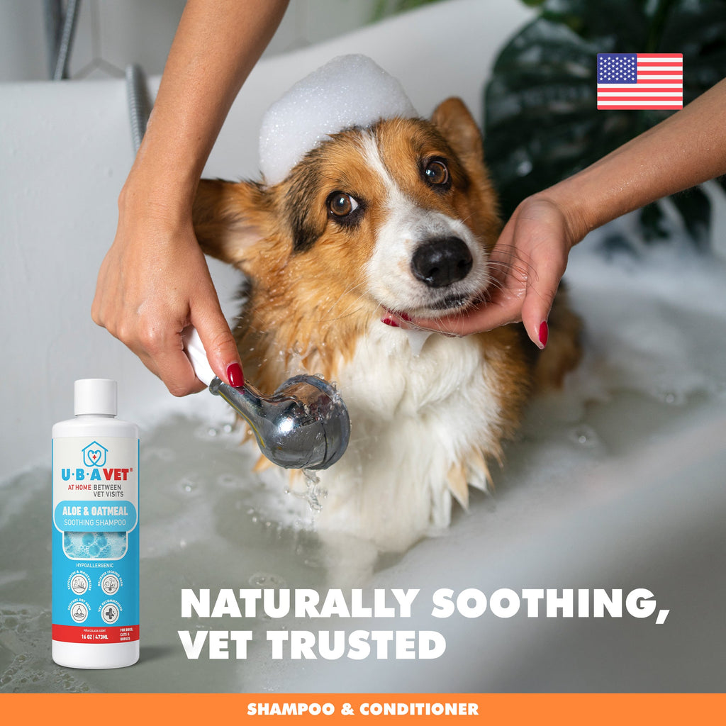 UBAVET Aloe & Oatmeal Shampoo for Dogs & Cats – Gentle, Moisturizing Cleanser for Sensitive Skin (16.9 fl oz / 500ml) by American Pet Supplies