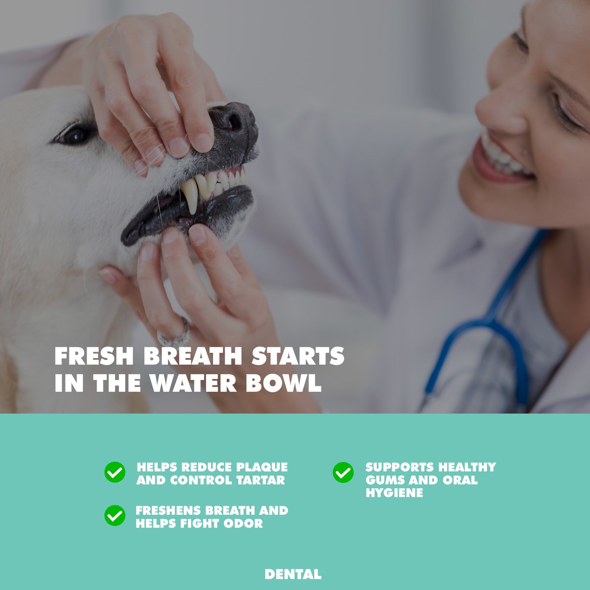 UBAVET Dental Care Water Additive for Dogs & Cats – Odorless & Tasteless Oral Health Solution (16 fl oz / 473 ml) by American Pet Supplies