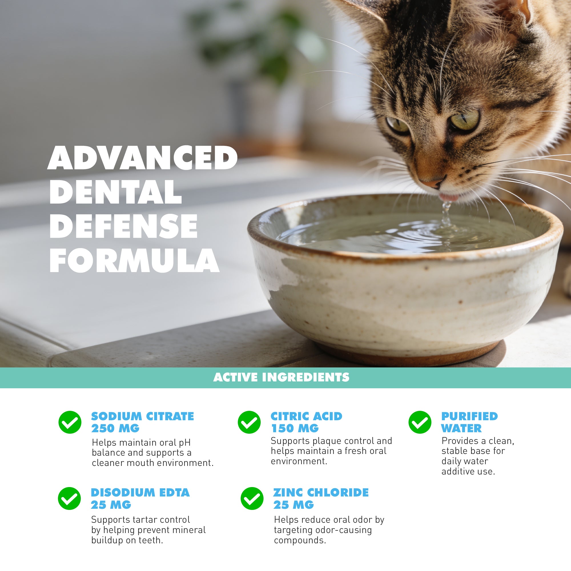 UBAVET Dental Care Water Additive for Dogs & Cats – Odorless & Tasteless Oral Health Solution (16 fl oz / 473 ml) by American Pet Supplies