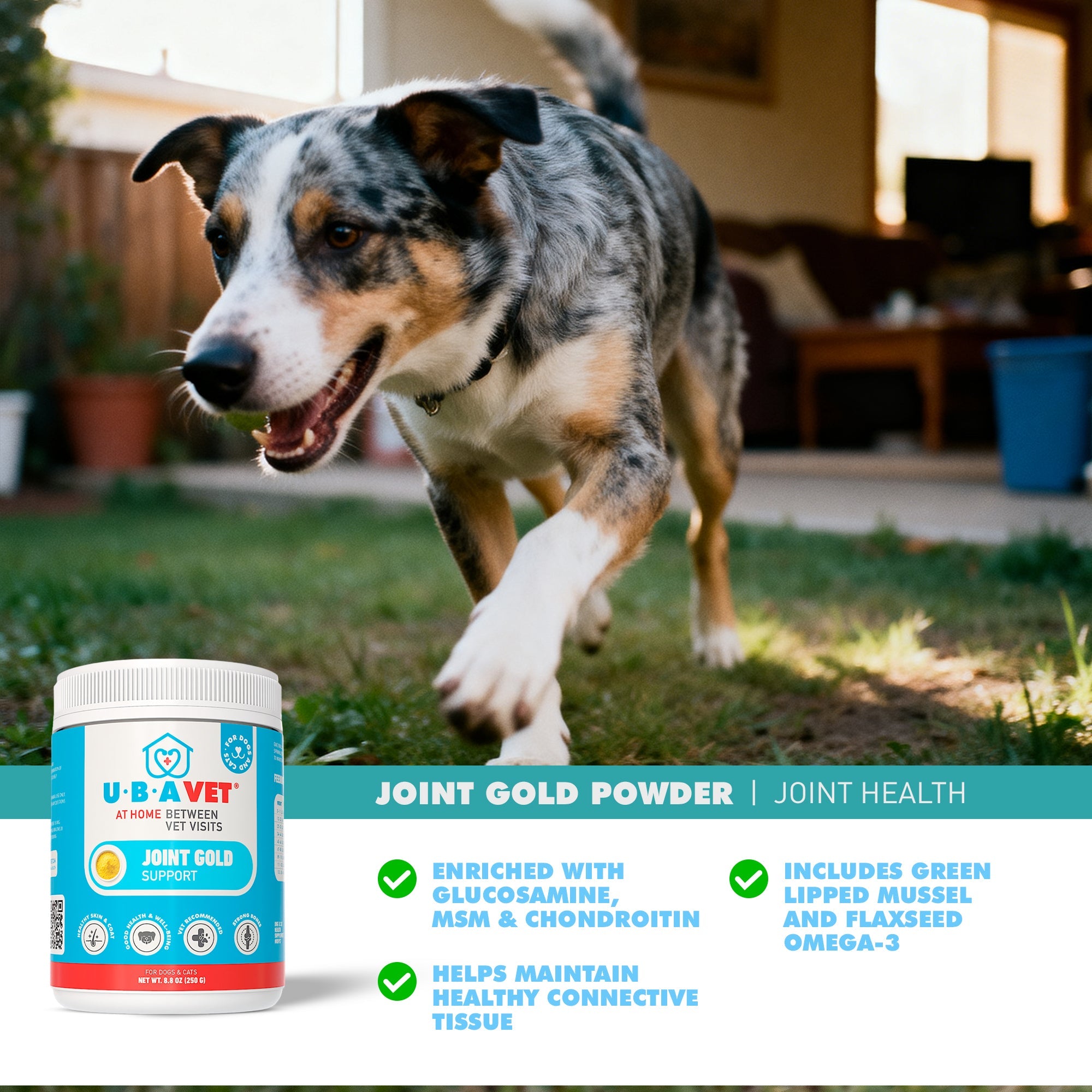 UBAVET Joint Gold Support Powder for Dogs & Cats – 8.8 oz / 250 g by American Pet Supplies