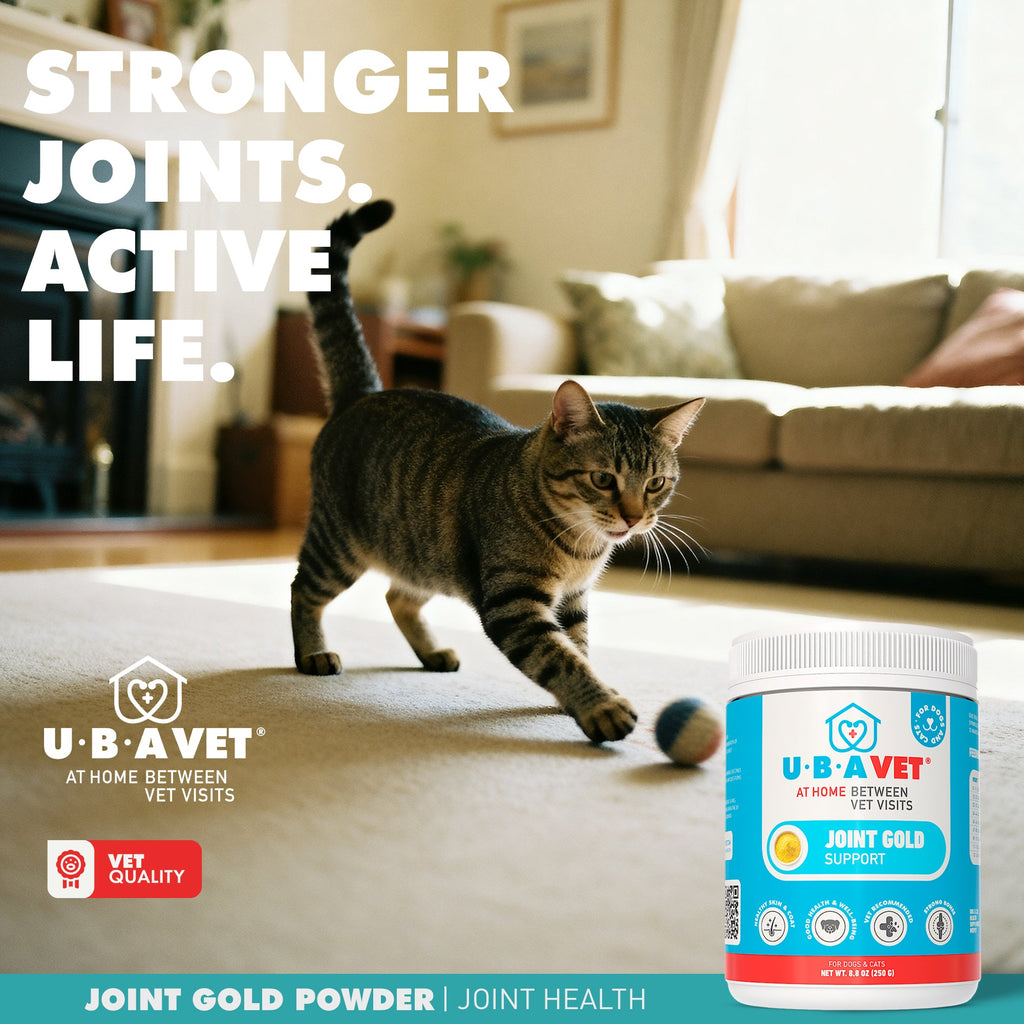 UBAVET Joint Gold Support Powder for Dogs & Cats – 8.8 oz / 250 g by American Pet Supplies
