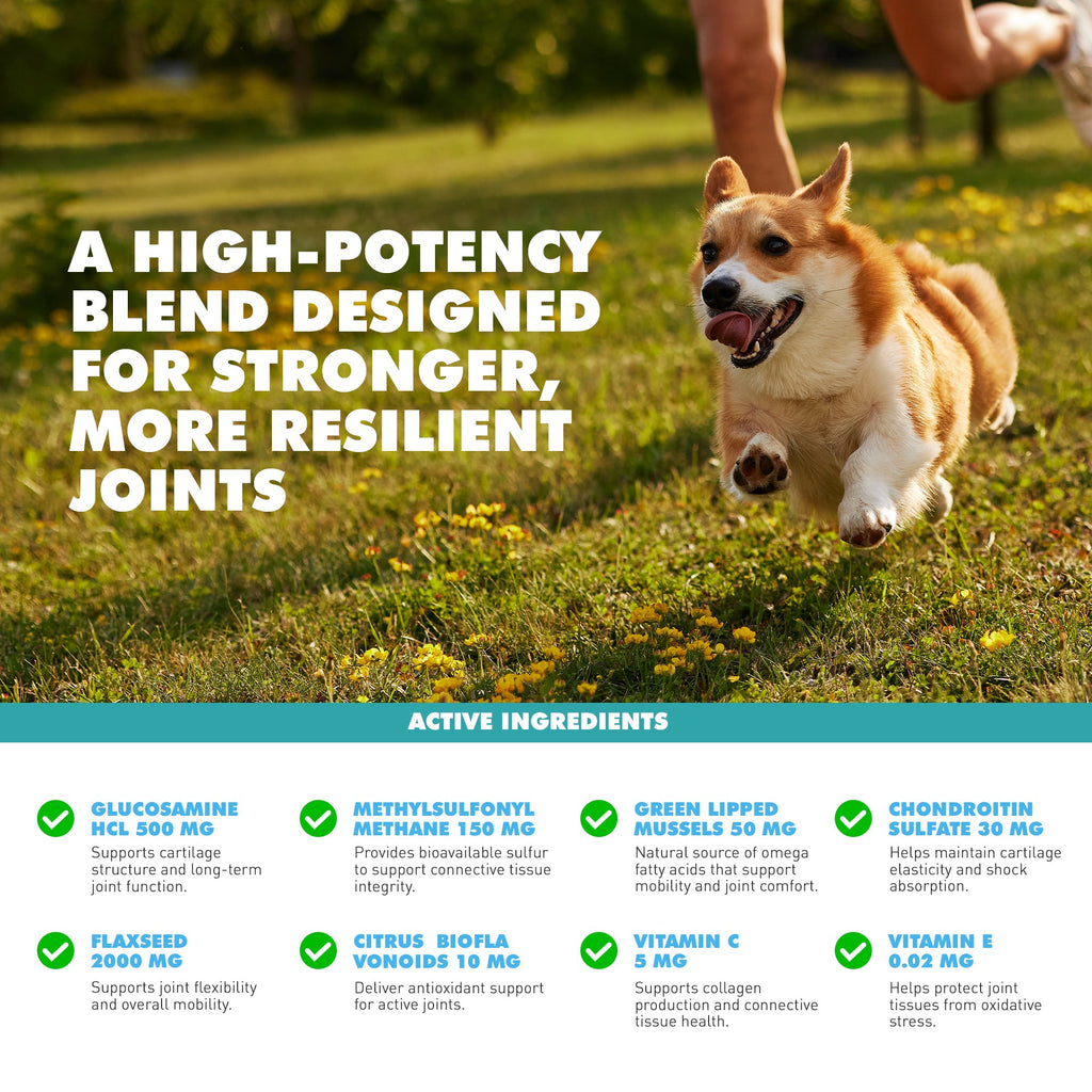 UBAVET Joint Gold Support Powder for Dogs & Cats – 8.8 oz / 250 g by American Pet Supplies