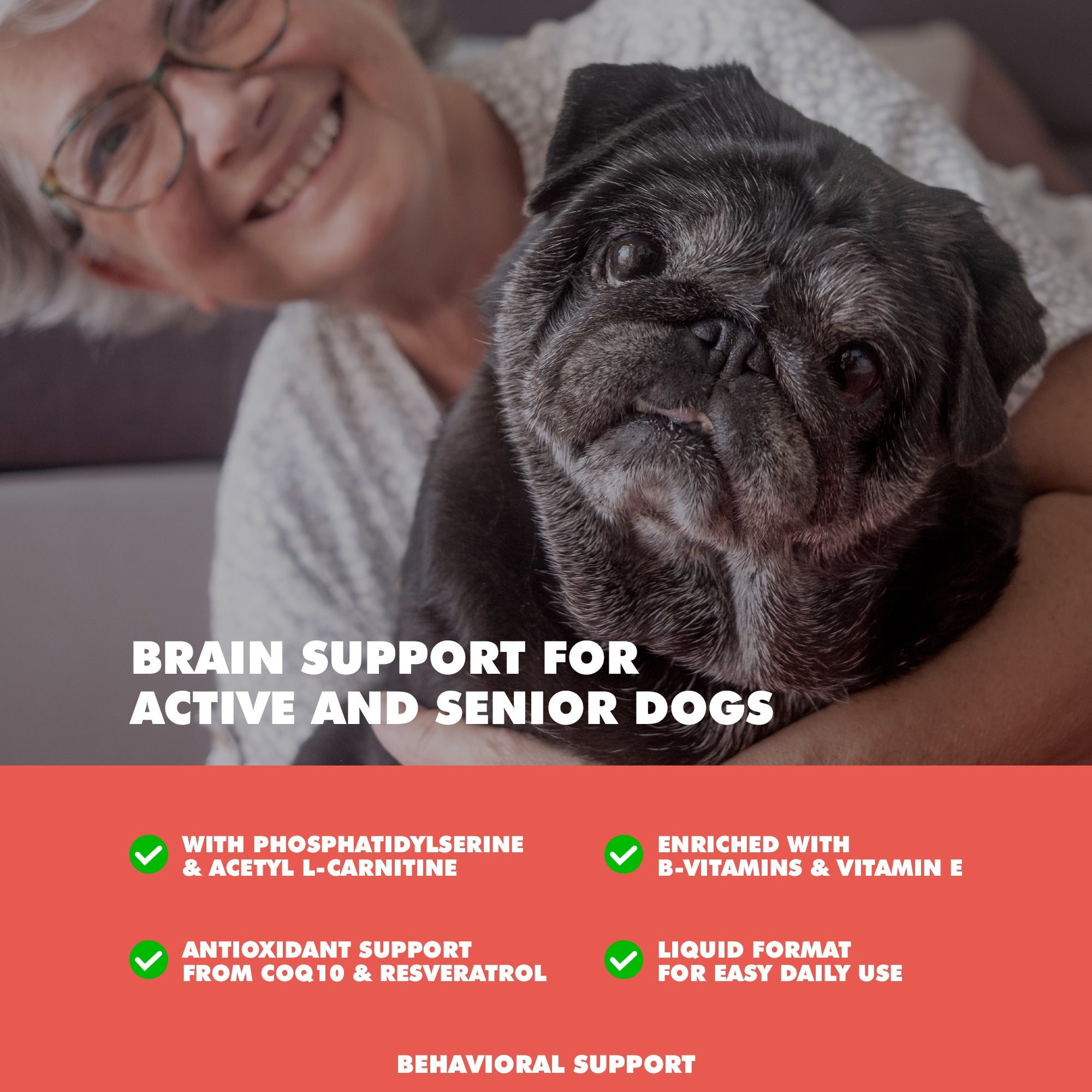 UBAVET Memory & Brain Support for Senior Dogs – 90 ct Cognitive Health Supplement by American Pet Supplies