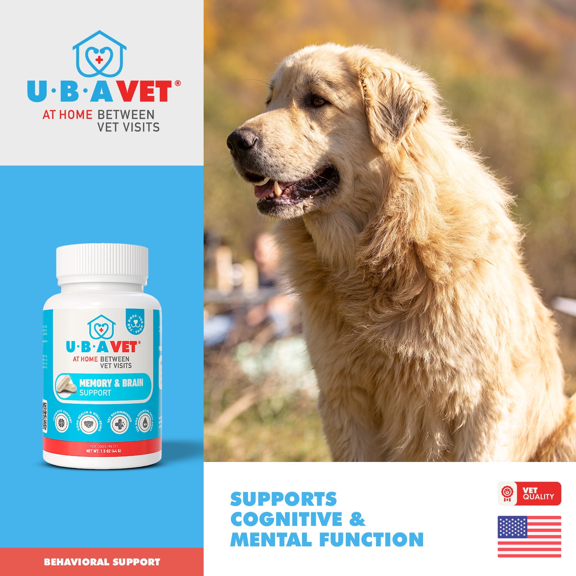 UBAVET Memory & Brain Support for Senior Dogs – 90 ct Cognitive Health Supplement by American Pet Supplies