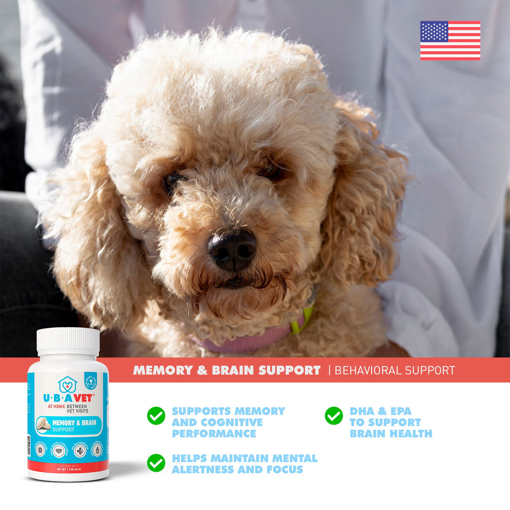 UBAVET Memory & Brain Support for Senior Dogs – 90 ct Cognitive Health Supplement by American Pet Supplies