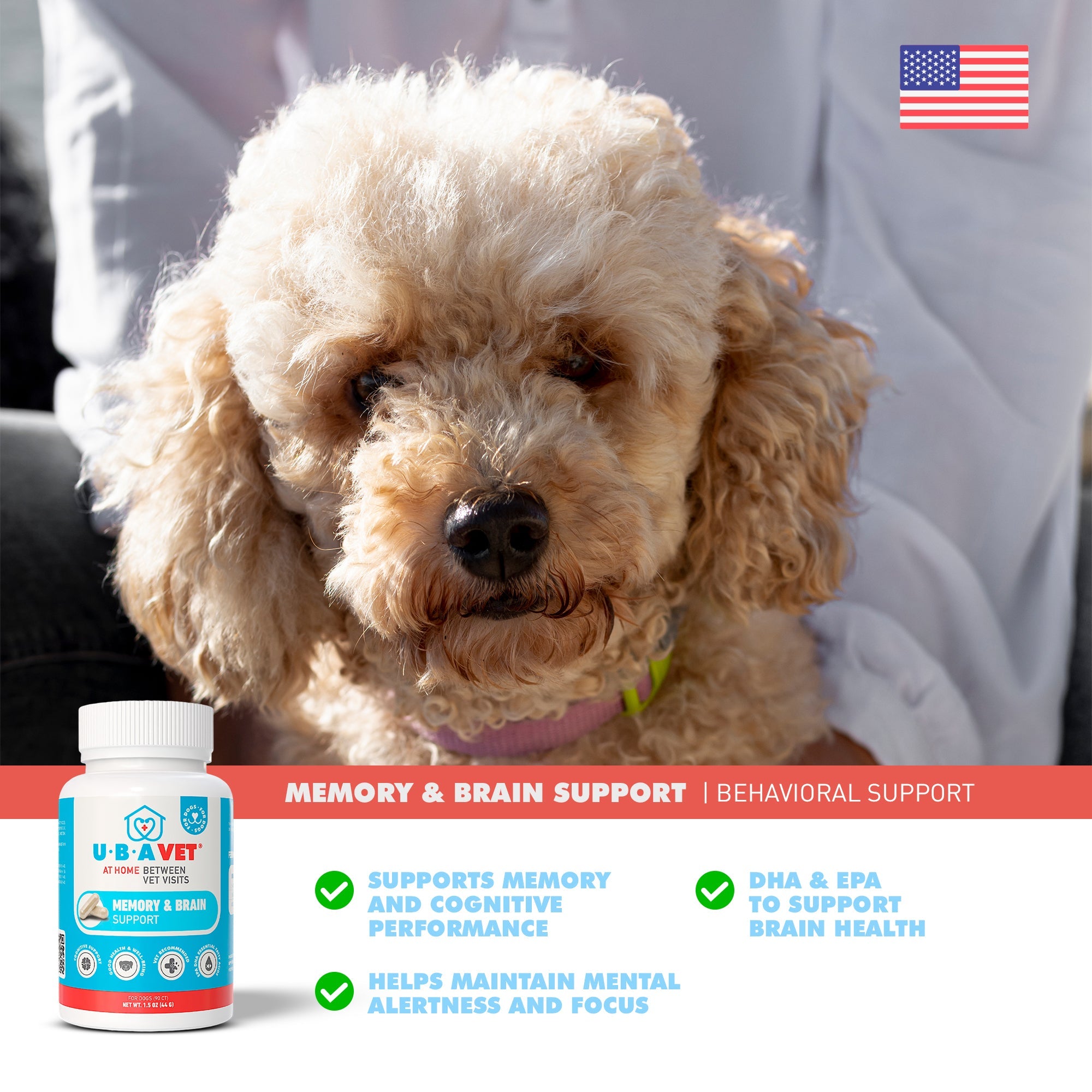 UBAVET Memory & Brain Support for Senior Dogs – 90 ct Cognitive Health Supplement by American Pet Supplies
