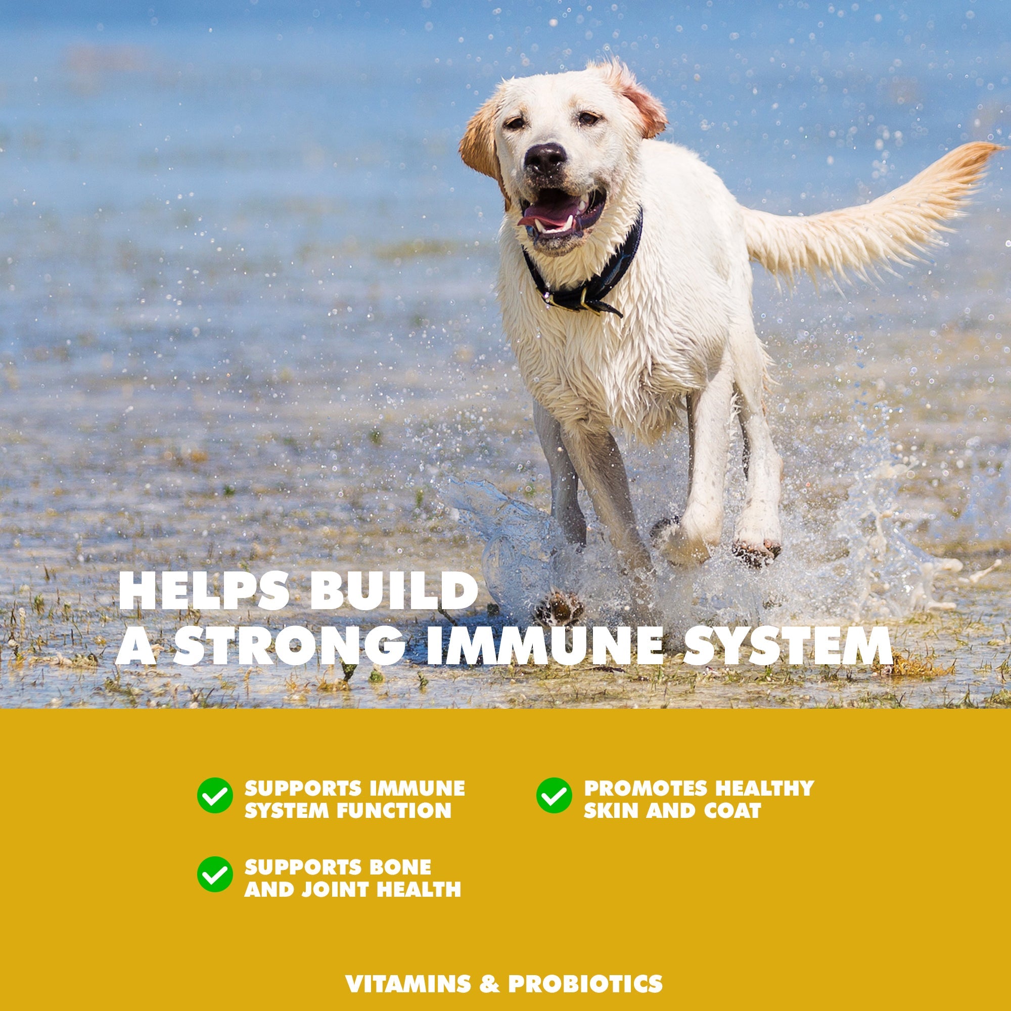 UBAVET Immune Support Daily Multi-Vitamin & Mineral Tablets for Dogs – 90 ct by American Pet Supplies