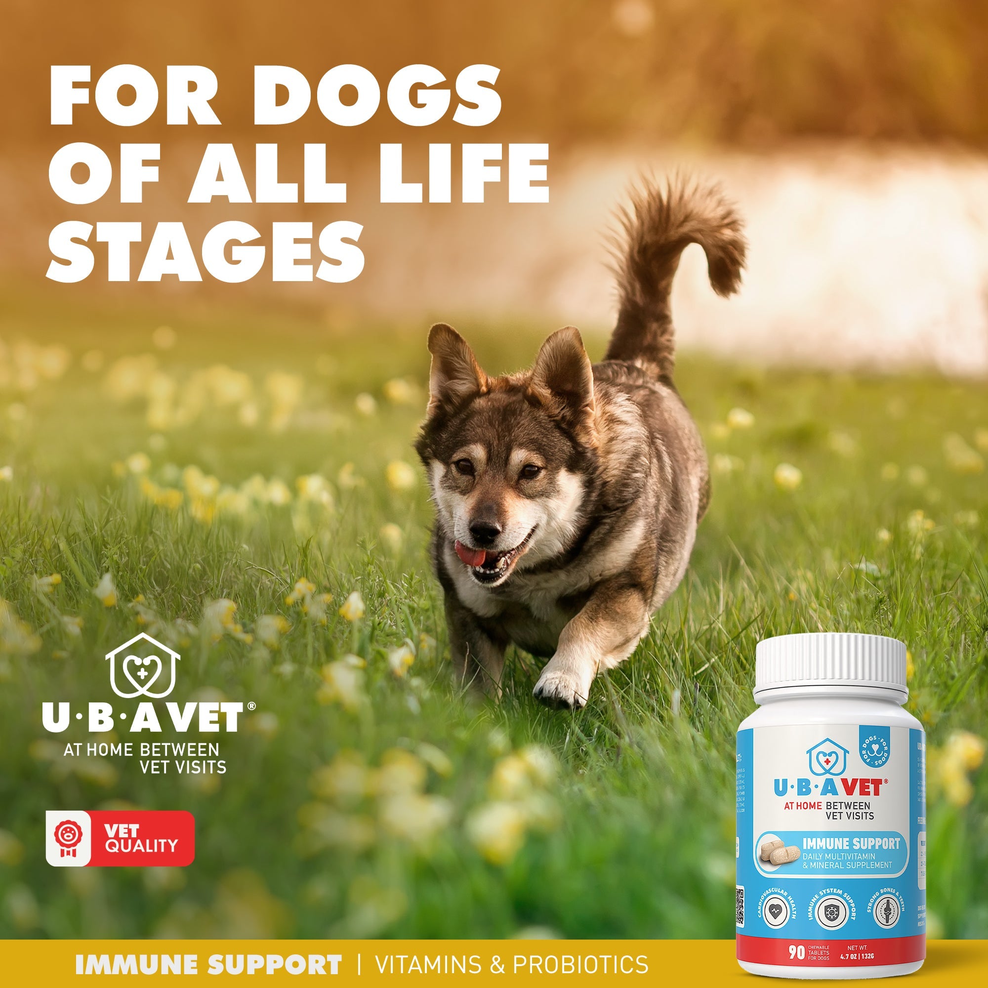 UBAVET Immune Support Daily Multi-Vitamin & Mineral Tablets for Dogs – 90 ct by American Pet Supplies