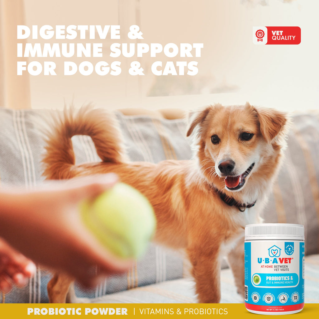 UBAVET Probiotics & Gut + Immune Health Support for Dogs & Cats – 5.3 oz / 150 g Powder by American Pet Supplies