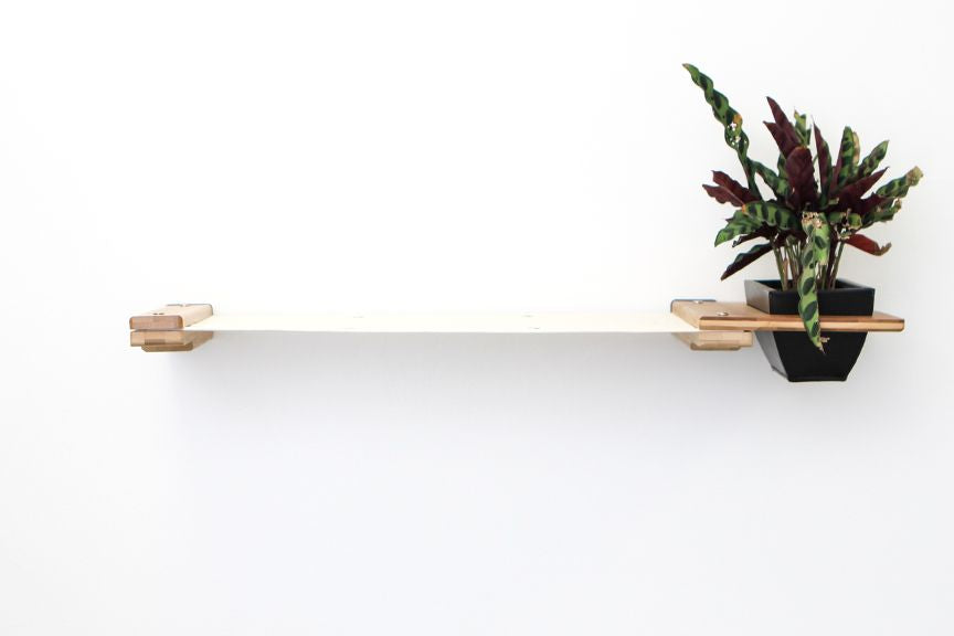 Cat Hammock Wall with Planter by Catastrophic Creations