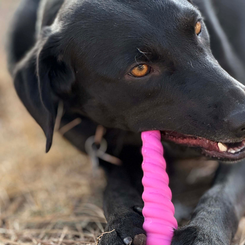 Unicorn Horn Nylon Dog Chew Toy | Durable for Aggressive Chewers | SodaPup by SodaPup/True Dogs, LLC