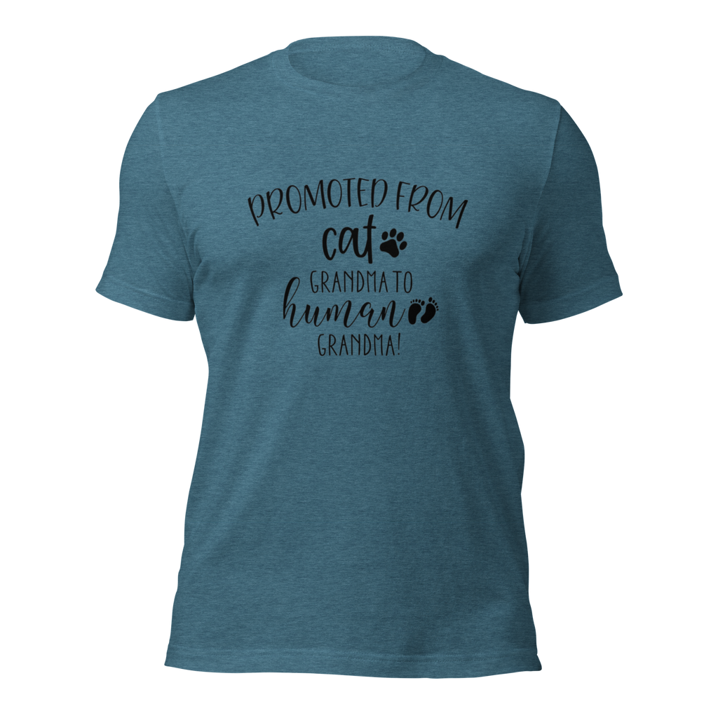Promoted from Cat Grandma to Human Grandma T-Shirt by Furr Baby Gifts