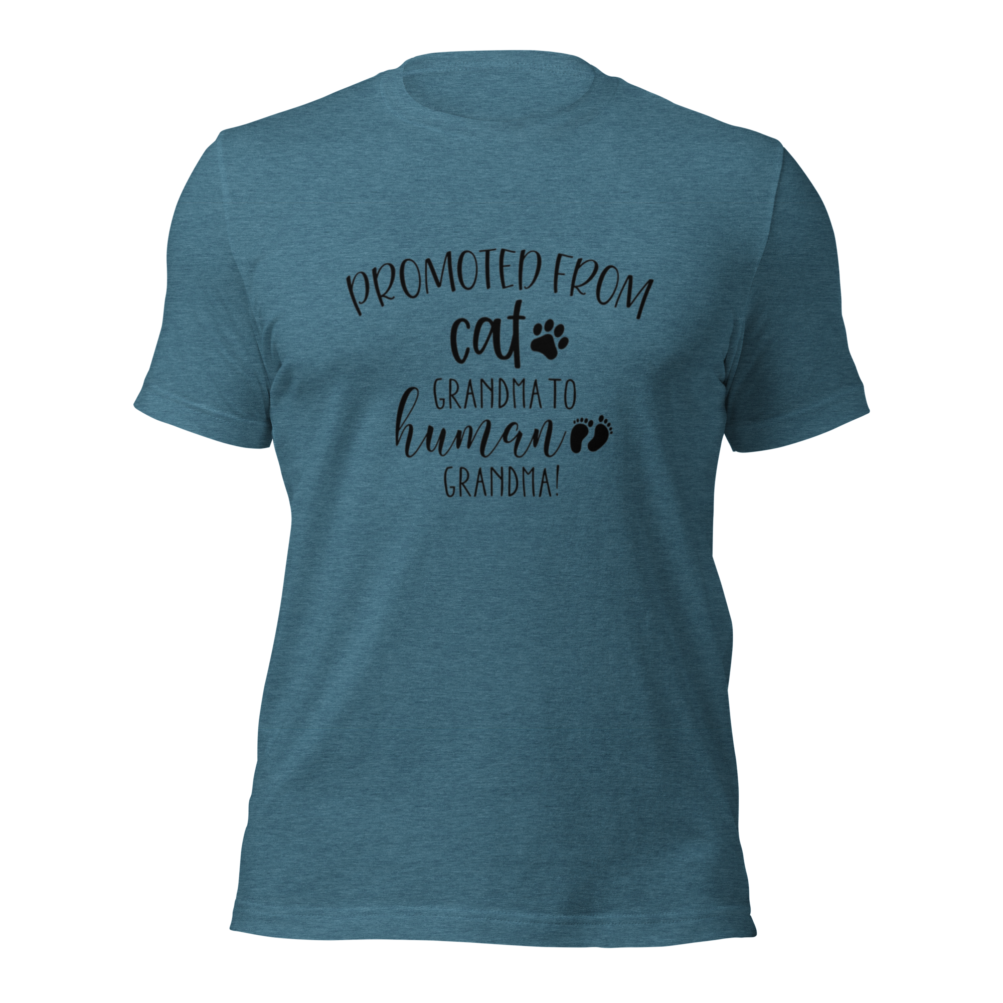 Promoted from Cat Grandma to Human Grandma T-Shirt by Furr Baby Gifts