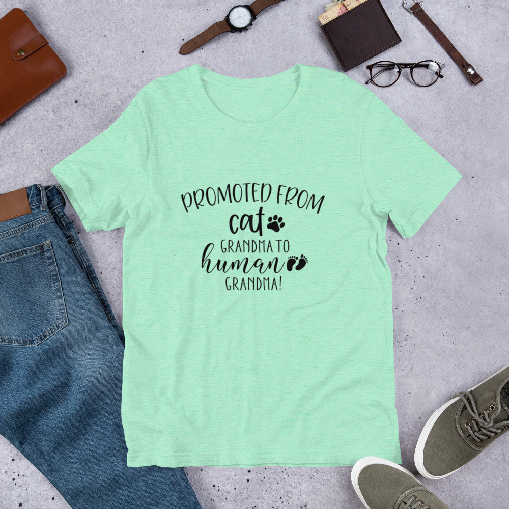 Promoted from Cat Grandma to Human Grandma T-Shirt by Furr Baby Gifts