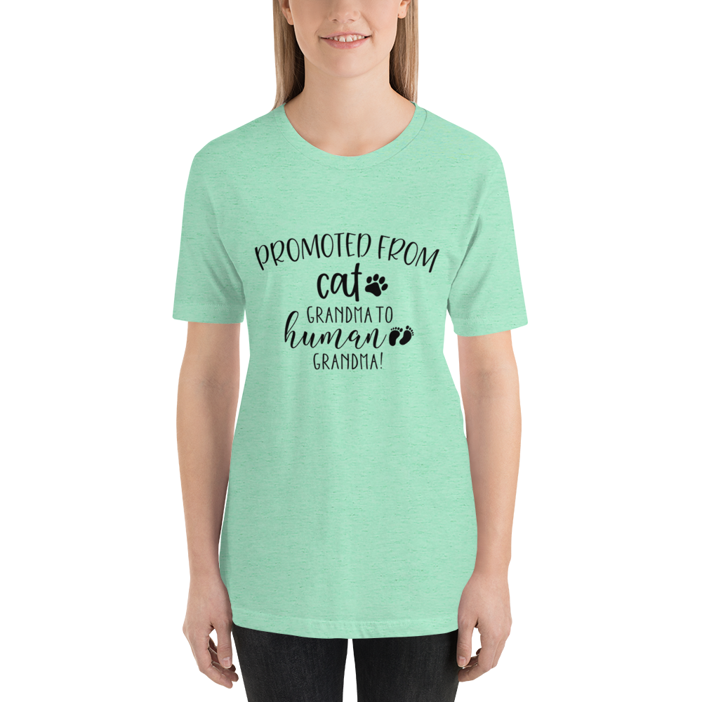 Promoted from Cat Grandma to Human Grandma T-Shirt by Furr Baby Gifts