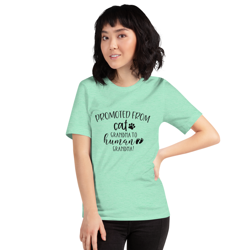 Promoted from Cat Grandma to Human Grandma T-Shirt by Furr Baby Gifts