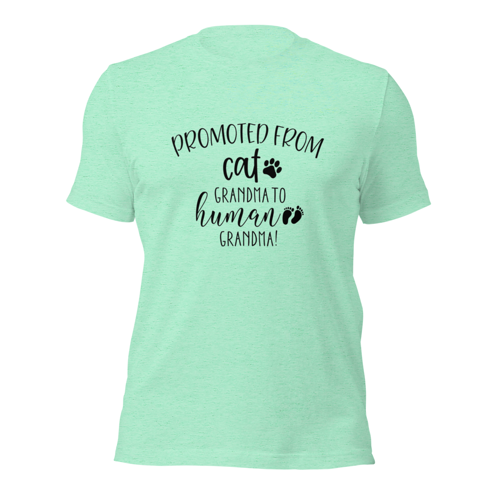 Promoted from Cat Grandma to Human Grandma T-Shirt by Furr Baby Gifts