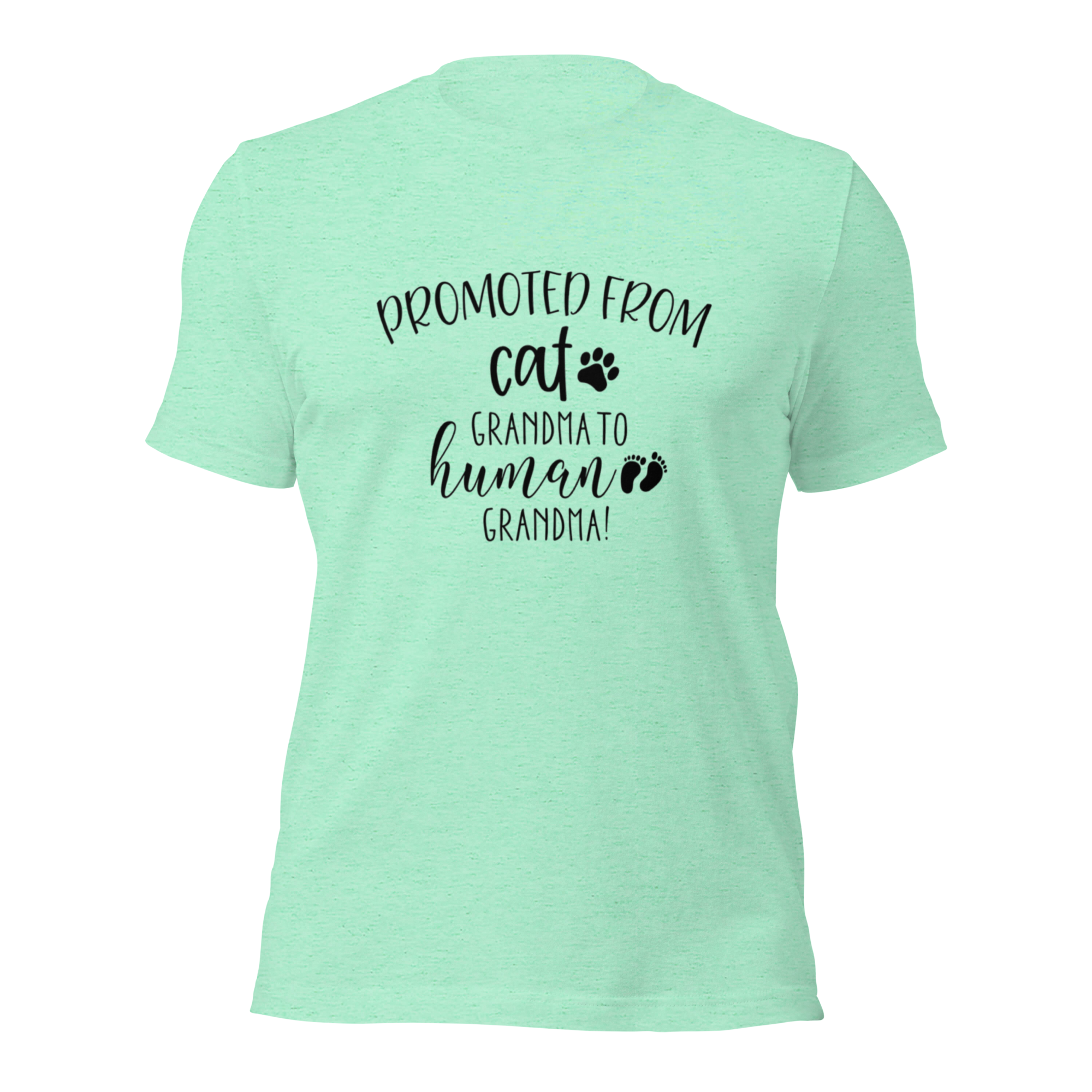 Promoted from Cat Grandma to Human Grandma T-Shirt by Furr Baby Gifts