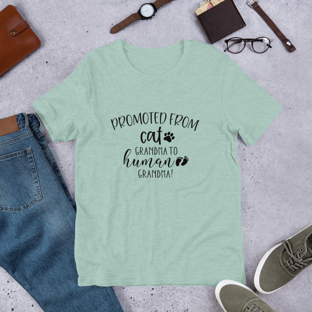 Promoted from Cat Grandma to Human Grandma T-Shirt by Furr Baby Gifts