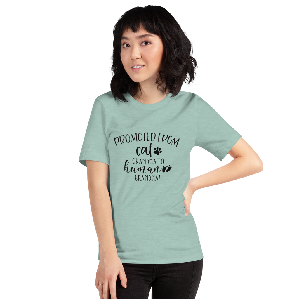 Promoted from Cat Grandma to Human Grandma T-Shirt by Furr Baby Gifts