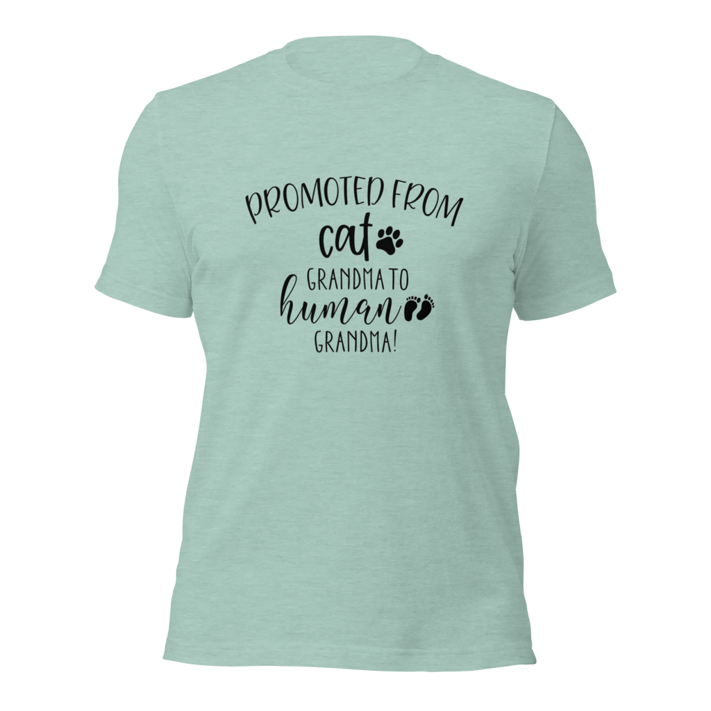 Promoted from Cat Grandma to Human Grandma T-Shirt by Furr Baby Gifts