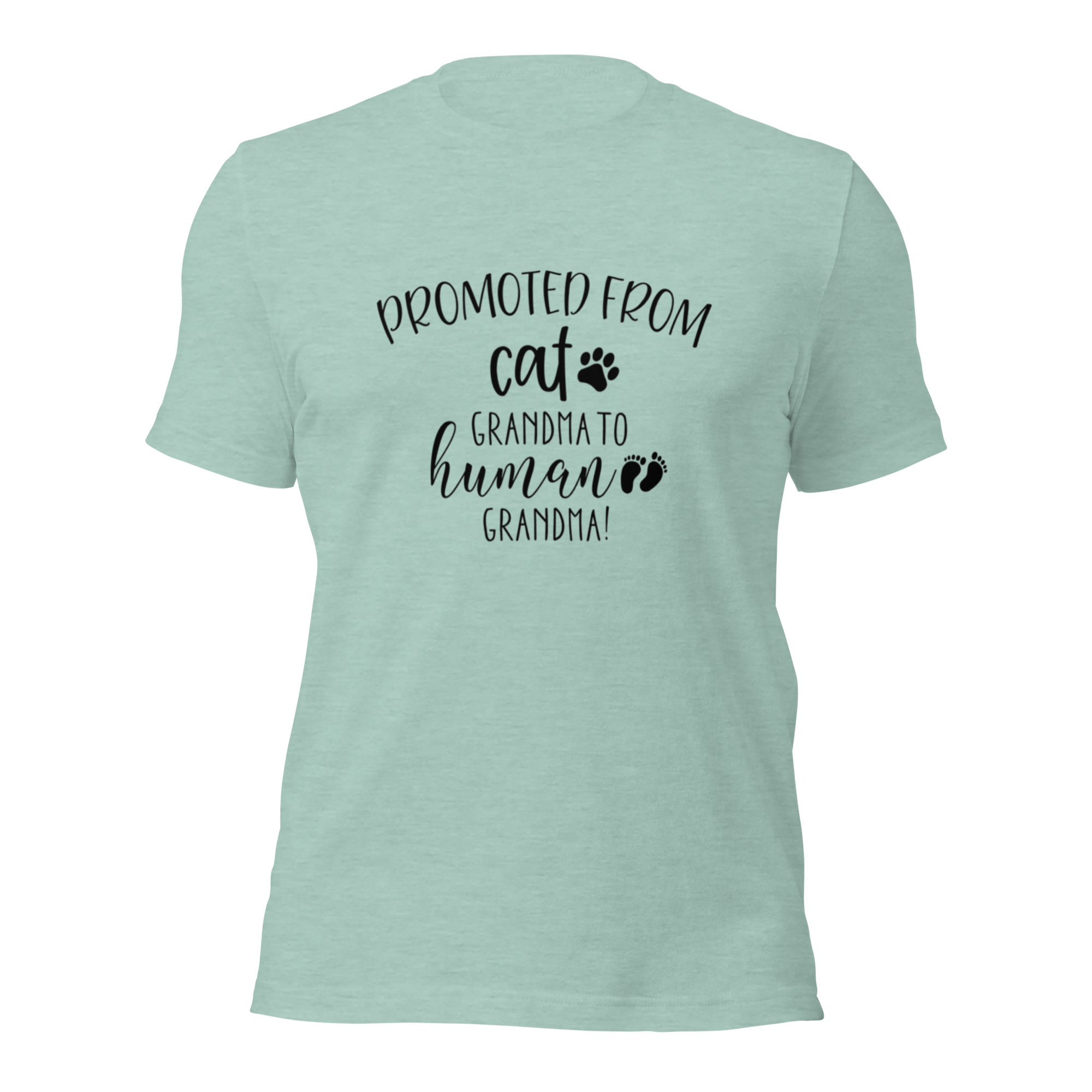 Promoted from Cat Grandma to Human Grandma T-Shirt by Furr Baby Gifts