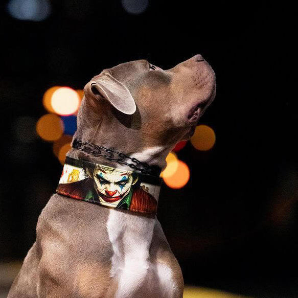 The Joker Limited Collar by Bestia Dog Gear
