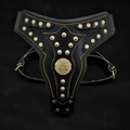 The "Maximus" harness V2 by Bestia Dog Gear