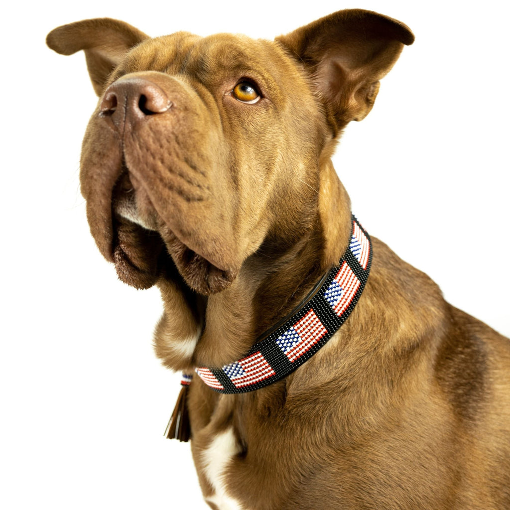 USA Sambboho dog collar by Sambboho