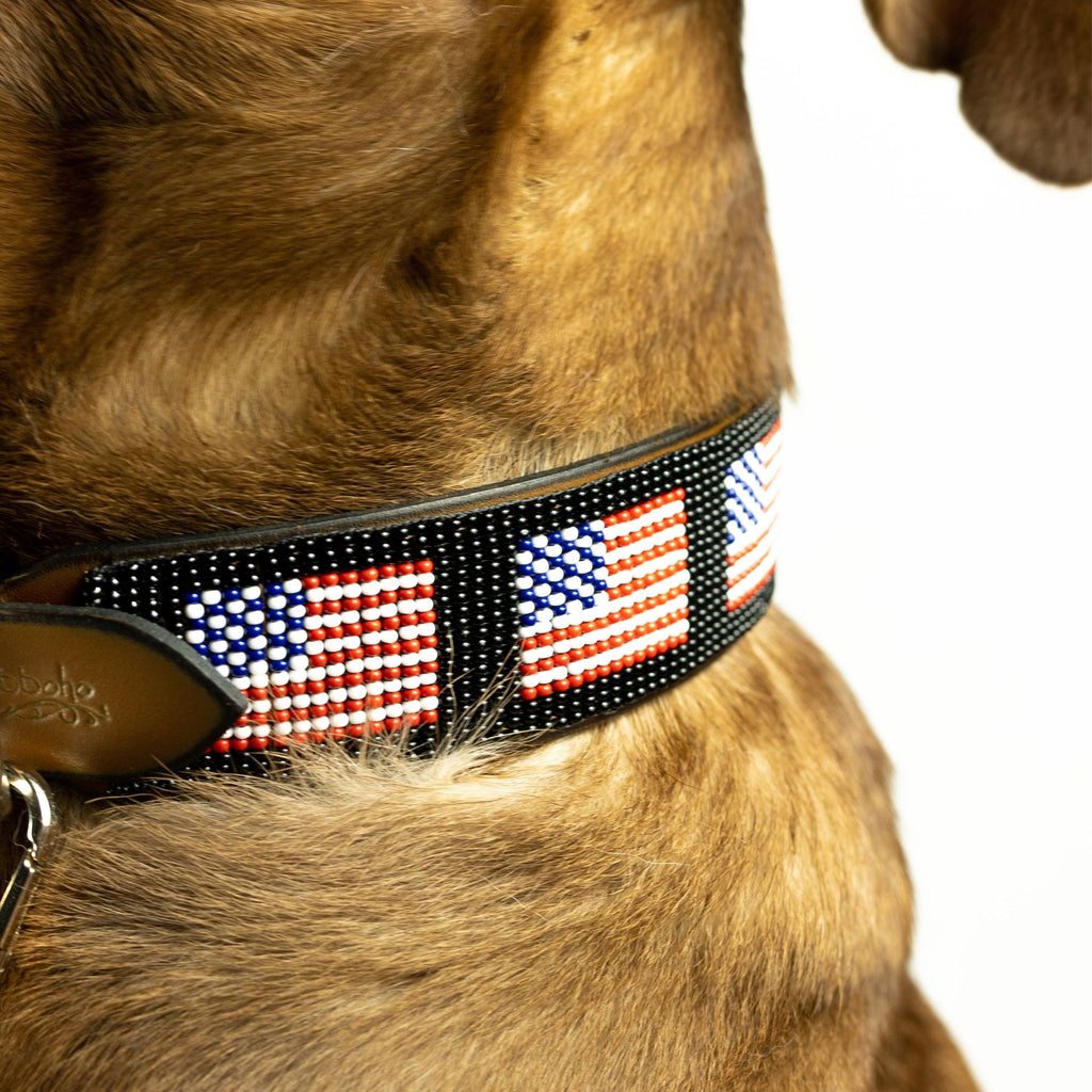USA Sambboho dog collar by Sambboho