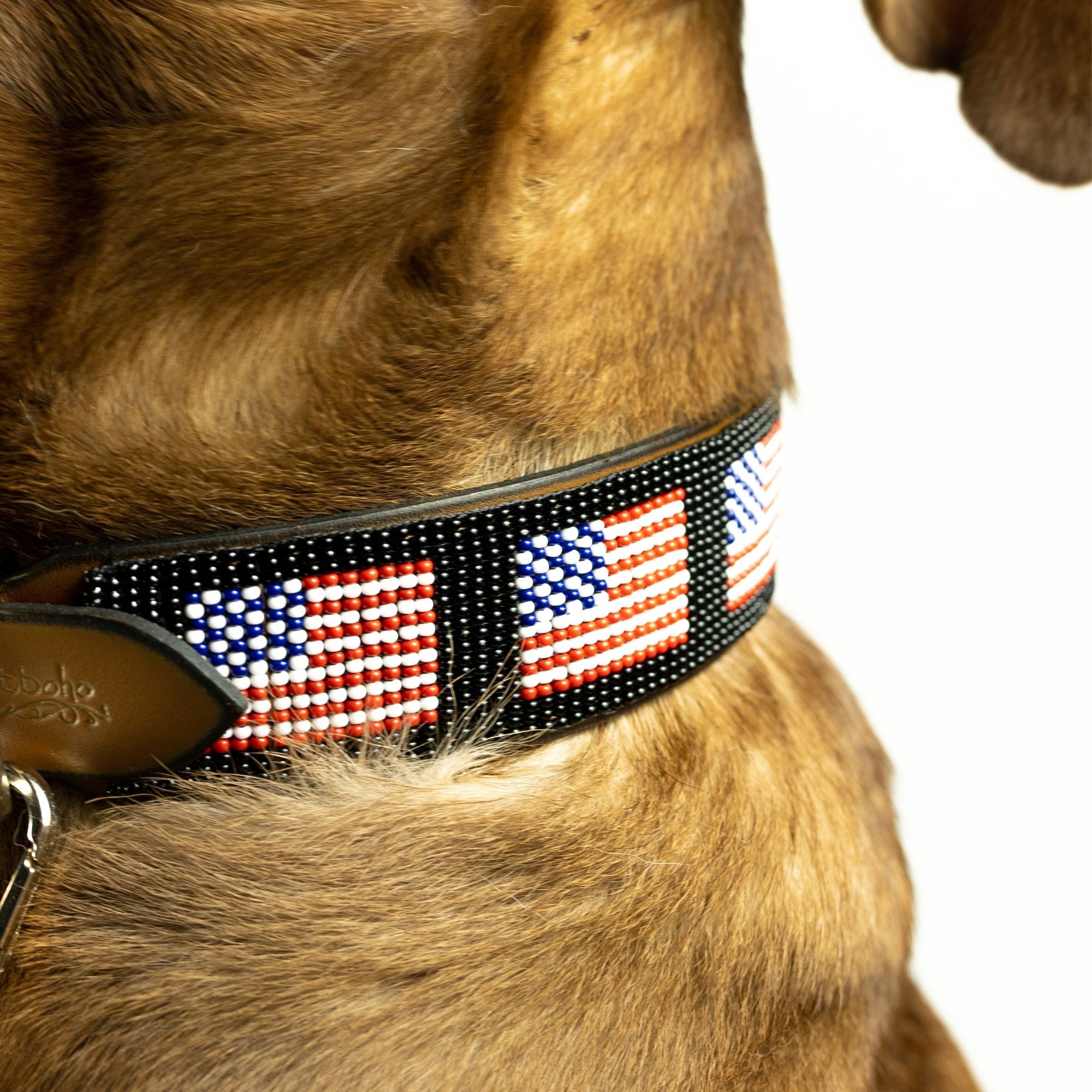 USA Sambboho dog collar by Sambboho