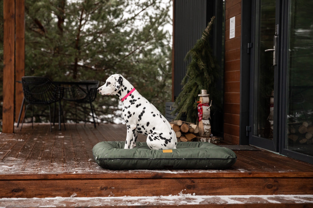 Chester & Lee | Waterproof Lounger Dog Bed Green by Chester & Lee