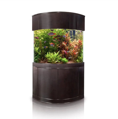 440g Corner 1/4 Cylinder Glass Aquarium Set in Walnut Wood Furniture by AQUA VIM