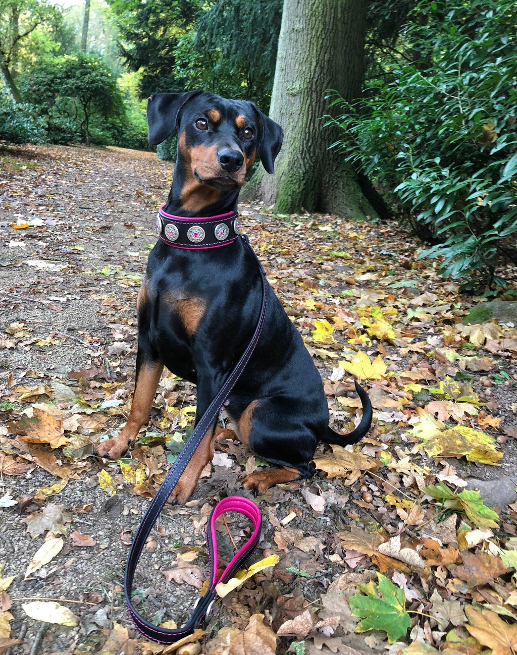 "Bijou" collar black & pink by Bestia Dog Gear