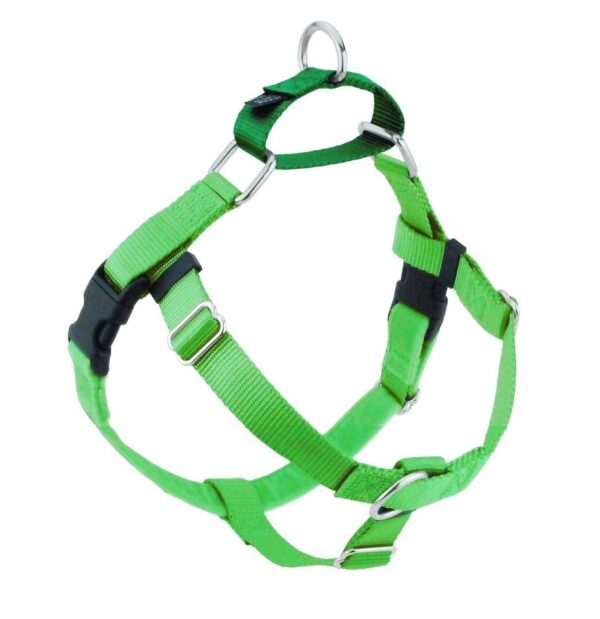 Neon Green Freedom No-Pull Dog Harness by 2 Hounds Design