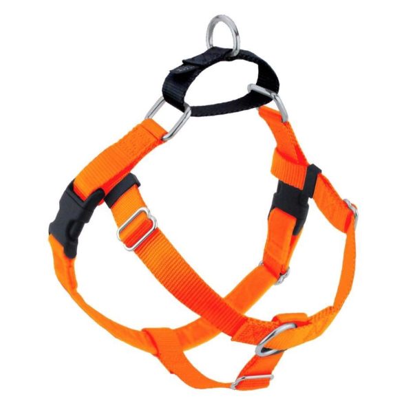 Neon Orange Freedom No-Pull Dog Harness by 2 Hounds Design