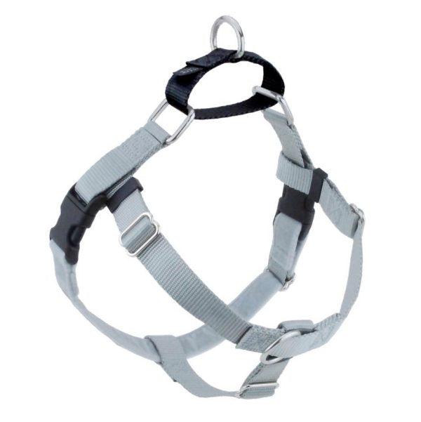 Silver Freedom No-Pull Dog Harness by 2 Hounds Design