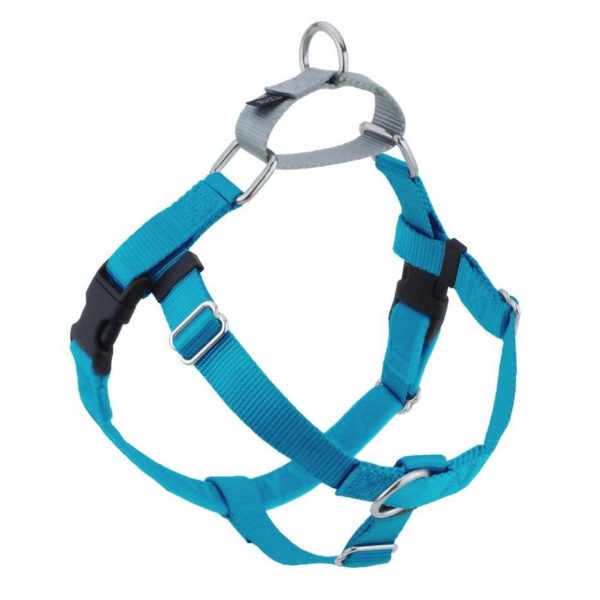 Turquoise Freedom No-Pull Dog Harness by 2 Hounds Design