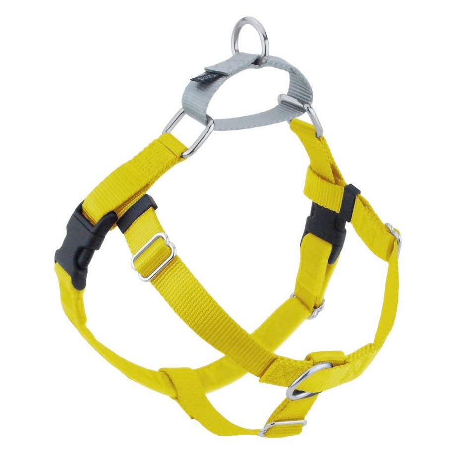 Yellow Freedom No-Pull Dog Harness by 2 Hounds Design